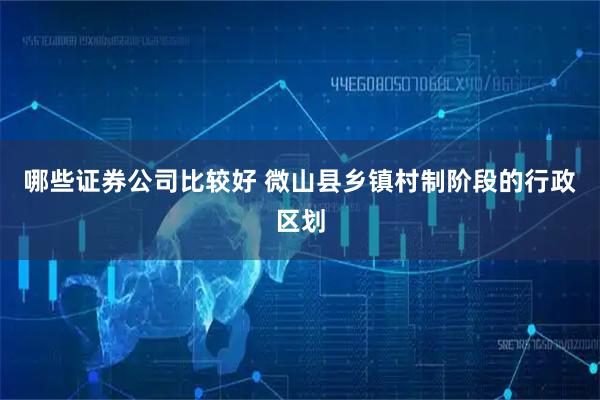 哪些证券公司比较好 微山县乡镇村制阶段的行政区划