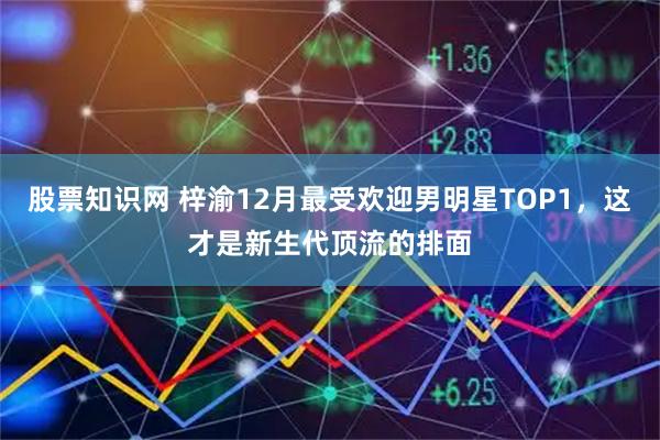 股票知识网 梓渝12月最受欢迎男明星TOP1，这才是新生代顶流的排面