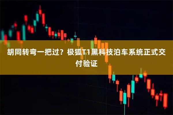 胡同转弯一把过？极狐T1黑科技泊车系统正式交付验证