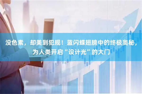 没色素，却美到犯规！蓝闪蝶翅膀中的终极奥秘，为人类开启“设计光”的大门